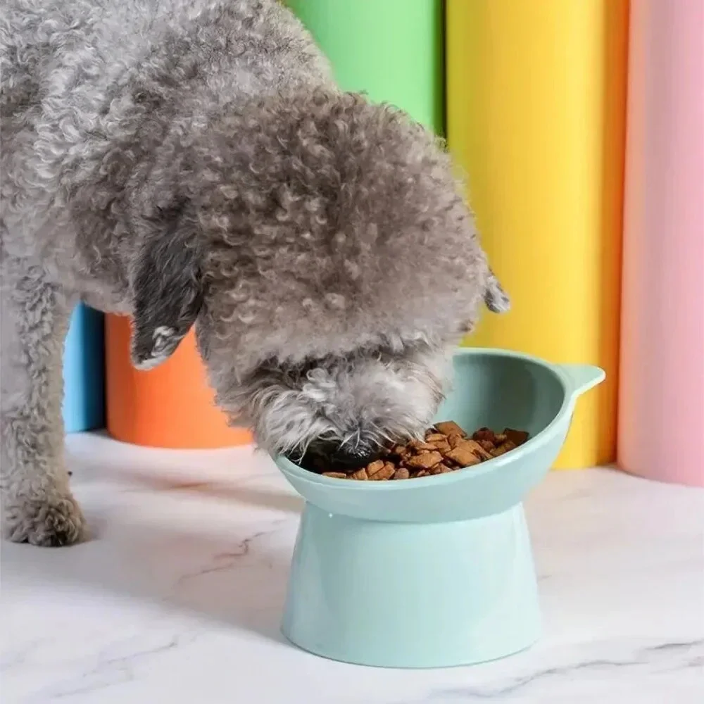 Elevated Tilted Cat Food Water Bowl